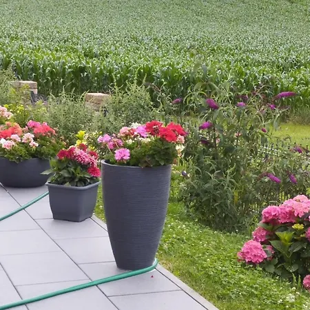 Apartament Naehe Golfplaetze Zwischen Bad Griesbach Und Bad Birnbach Haarbach